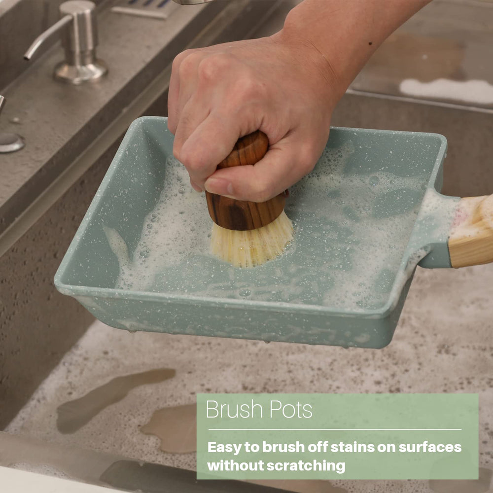 Two HTB dish scrub brushes arranged together