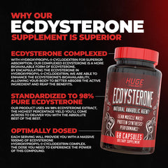 Huge Supplements Ecdysterone label close-up notes 98% purity.