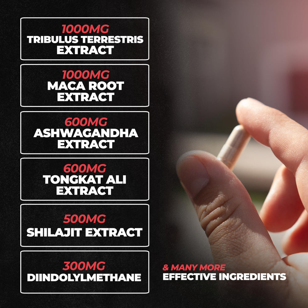 Huge Supplements Rebirth PCT ingredients panel reveals science-backed compounds aiding estrogen balance