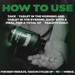 Huge Supplements Sapogenix bulking-cutting use visual suggests versatile cycle planning