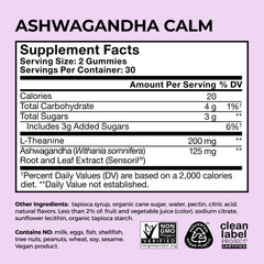 L-Theanine supplement concept for calm and focus