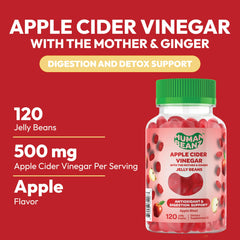 Human Beanz The Mother Ginger infusion image emphasizes natural ingredients for digestive support.