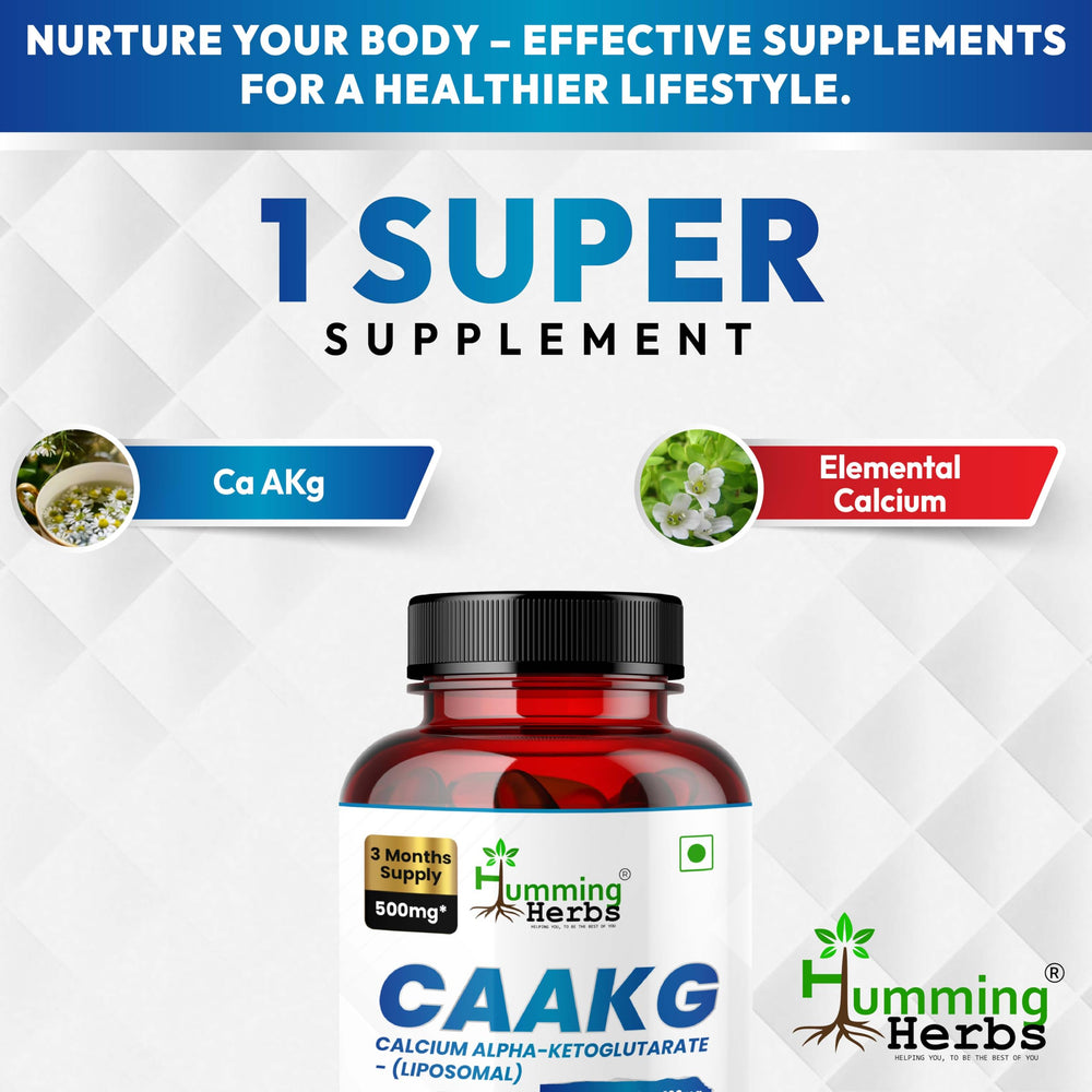 GMP-certified manufacturing facility