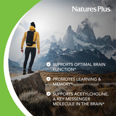 Huperzine A brain supplement neuronutrients concept