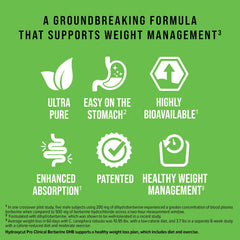 Ingredient overview: Green Coffee, Magnesium, Cinnamon, Chromium, GlucoVantage DHB