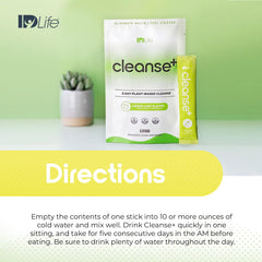 Gut health concept illustrating nutrient absorption for Cleanse+ Lemon-Lime