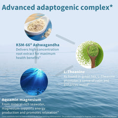 L-Theanine from green tea and magnesium components