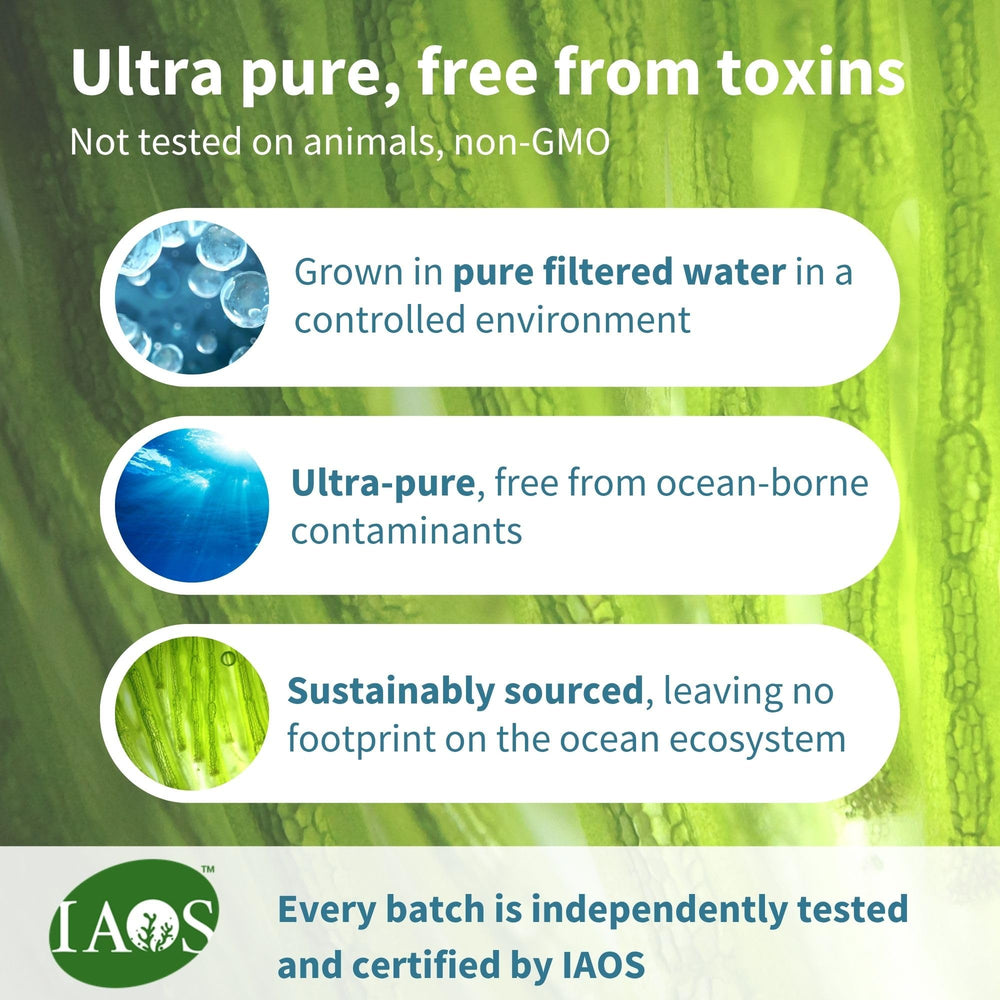 Astaxanthin, lutein and zeaxanthin ingredients