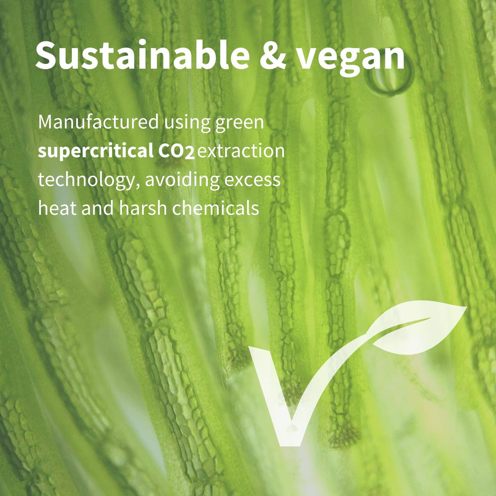 Lutein and Zeaxanthin ingredients in the formula