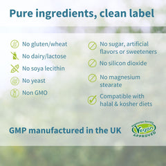 Vegan, non-GMO and clean ingredients certification visuals