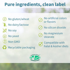 UK GMP manufactured label on Igennus Methylated Men's Multivitamin