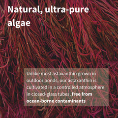 Vegan seaweed capsules from Igennus