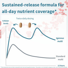 Illustration of methylated B-vitamins and active nutrient forms