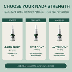 Bulk Essentials NAD+ Spray | 100 Sprays | 2.5 mg per Spray | USA Made
