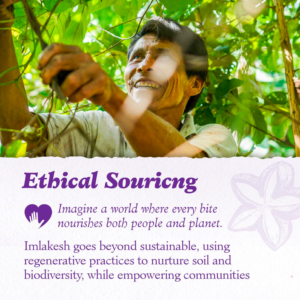 Imlak'esh Organics Sacha Inchi Protein scoop for quick protein boosts.