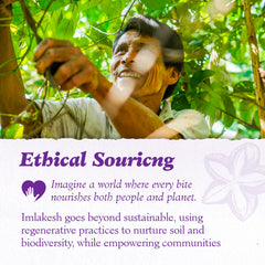 Imlak'esh Organics Sacha Inchi Protein scoop for quick protein boosts.