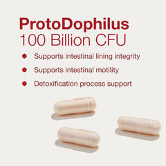 Immune support and detox graphic with capsules