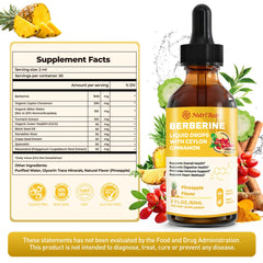 Graphic highlighting immune support and digestive health benefits