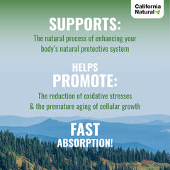 Immune and digestive support banner