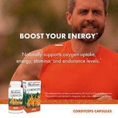 Illustration showing immune and energy support benefits
