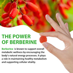 Graphic showing immune support and overall health