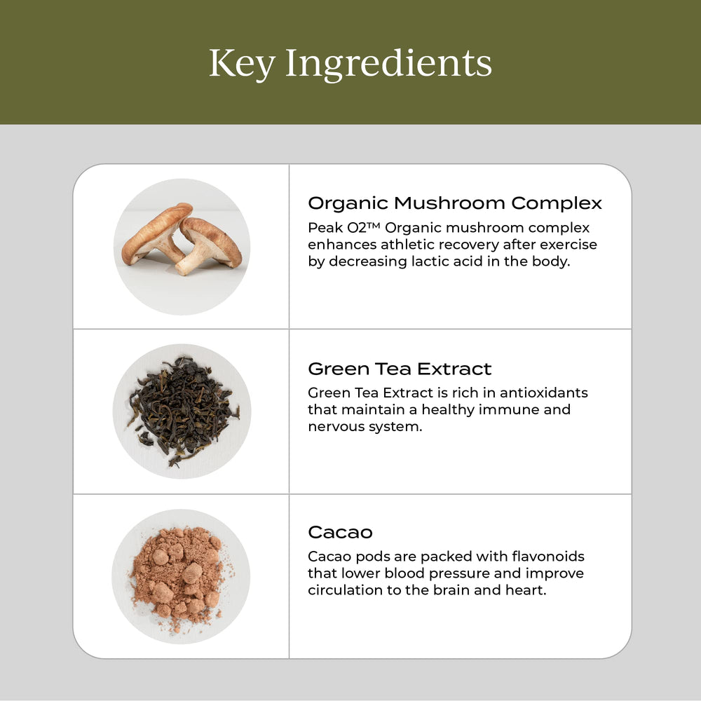 Graphic showing immune support and energy benefits of mushrooms