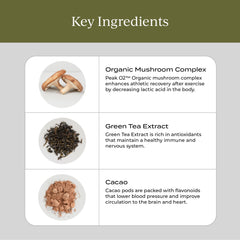 Graphic showing immune support and energy benefits of mushrooms
