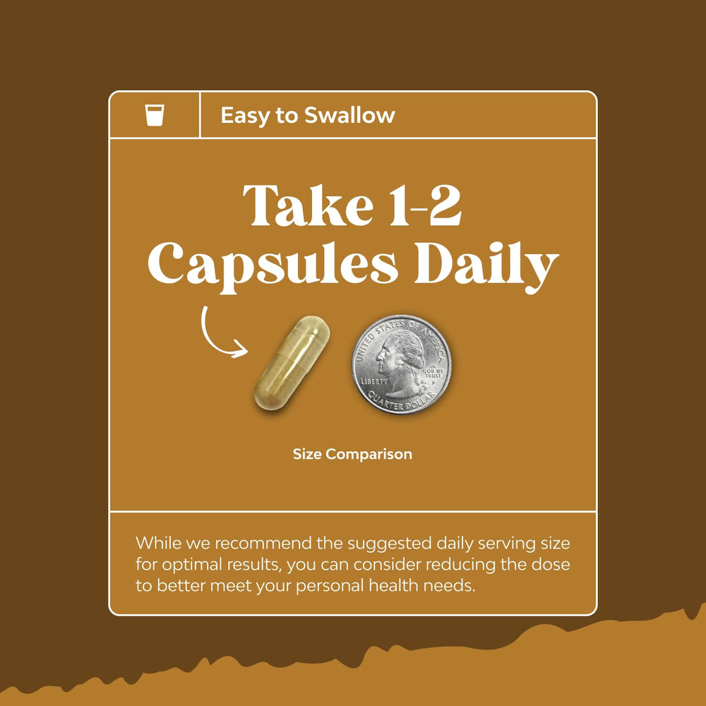 Nature Crafted branding for a brain health supplement with Lion's Mane