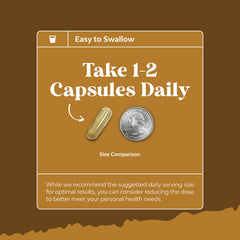 Nature Crafted branding for a brain health supplement with Lion's Mane