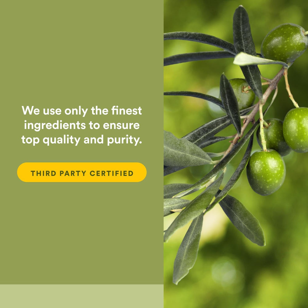 Illustration of immune support with olive leaf supplement