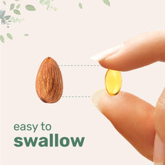 Immune support softgels featuring oregano and black seed oil