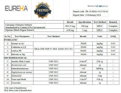 Graphic illustrating immune support protocol