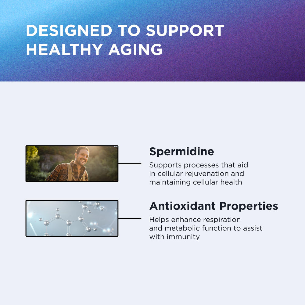 Graphic illustrating immune support from Spermidine