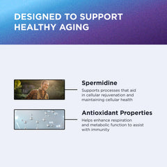 Graphic illustrating immune support from Spermidine