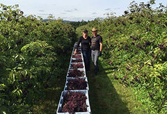 Refrigerate after opening