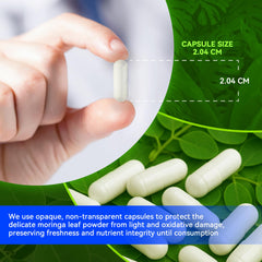 Illustration showing immunity support from moringa supplement