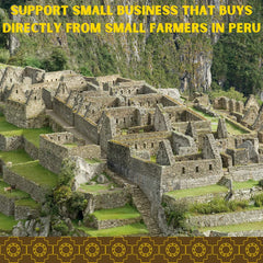 Brewed INCA MASTER TEA shows a rich amber infusion.