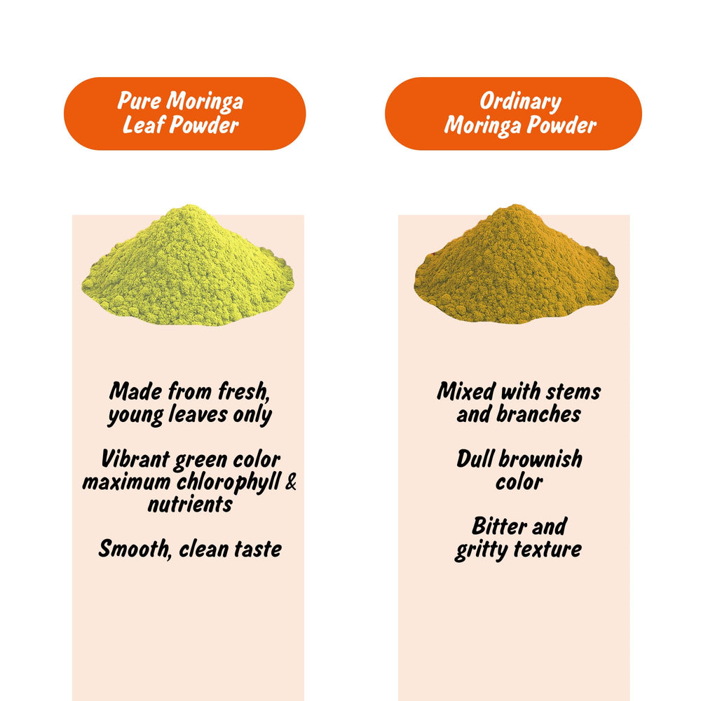 India export-ready moringa powder packaging