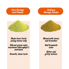 India export-ready moringa powder packaging