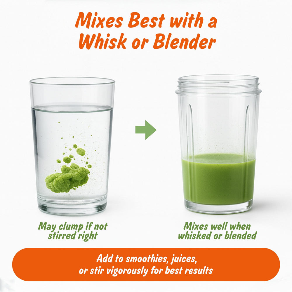 India-sourced moringa farms