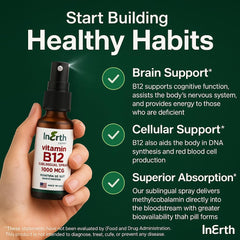 Infographic showing energy and metabolism benefits of B12