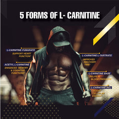 Ingredients: Carnitine Fumarate, L-Carnitine L-Tartrate, Acetyl L-Carnitine, L-Carnitine HCL, L-Carnitine Base