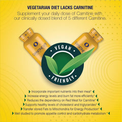 Infinite Labs L Carnitine MTX blend image highlights comprehensive carnitine mix