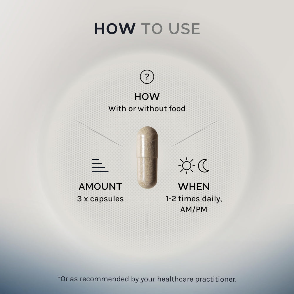 Illustration of spore-forming Bacillus strains (coagulans, subtilis, clausii)