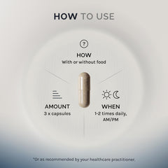 Illustration of spore-forming Bacillus strains (coagulans, subtilis, clausii)