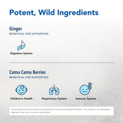 Ginger root - key ingredient in Inflam-EEZ