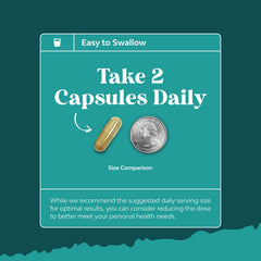 Ingredient overview image for NAC liver supplement