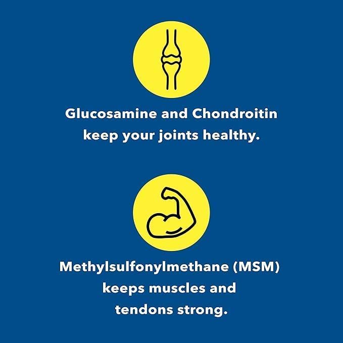 Ingredient blend: Glucosamine, Chondroitin, and MSM