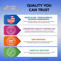 Ingredients collage Bacopa Monnieri Ginkgo Biloba Lions Mane Alpha GPC Phosphatidylserine