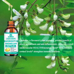 Ingredients and nutrition panel of quercetin liquid drops